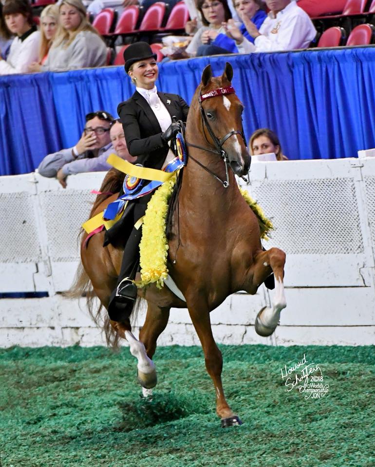 THE 2019 KENTUCKY STATE FAIR WORLD’S CHAMPIONSHIP HORSE SHOW CONTINUES
