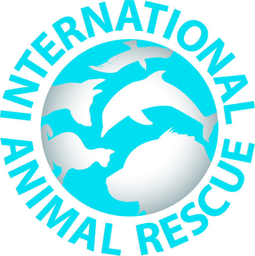 International Animal Rescue