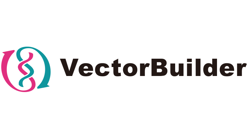 VectorBuilder