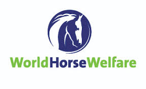 World Horse Welfare