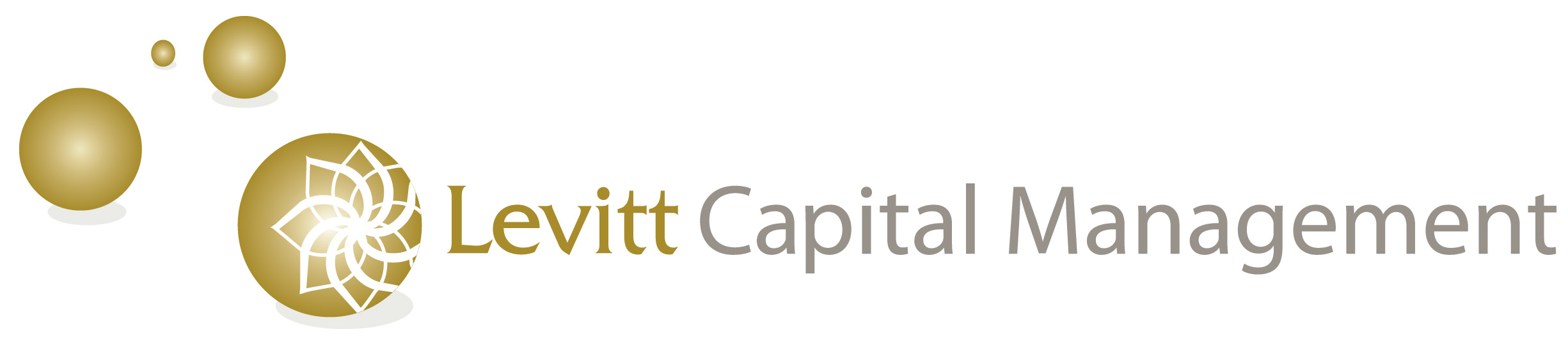 LEVITT CAPITAL MANAGEMENT