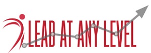 Lead at Any Level LLC