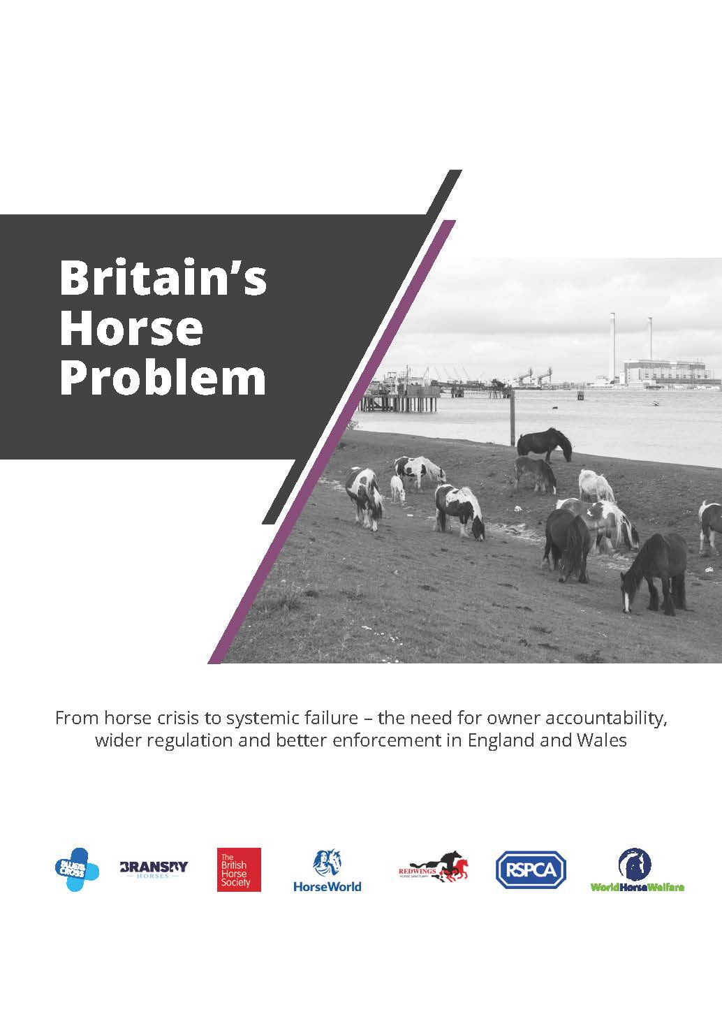 Welfare charities ask for public support to prevent horse welfare