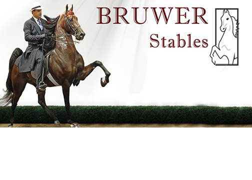Bruwer Stables