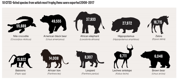 Canada ranked 2nd in top 10 worst countries for trophy hunting exports