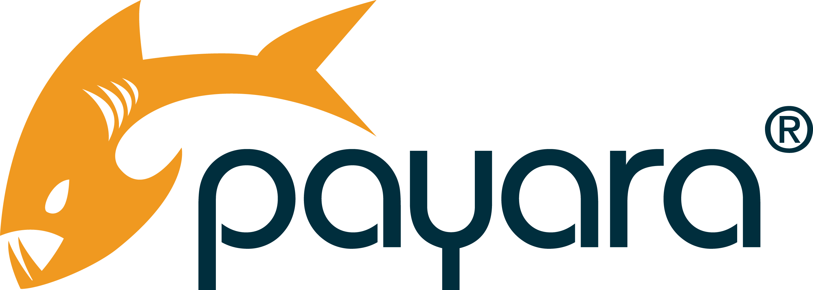 Payara Service Ltd