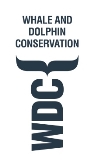 Whale and Dolphin Conservation