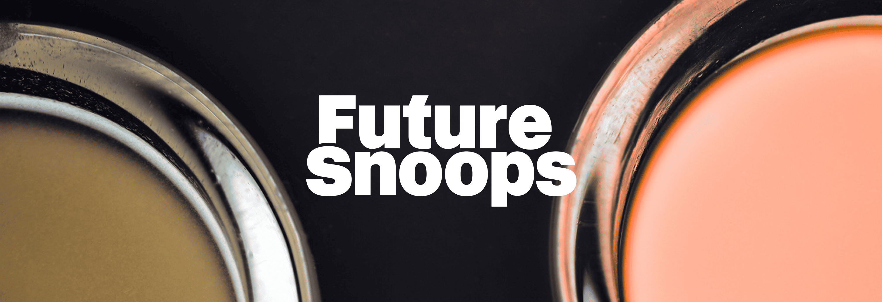 Future Snoops