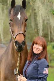 Misdee Wrigley-Miller Set to Judge Harness Horse Class at Valkenswaard -  HorsesDaily