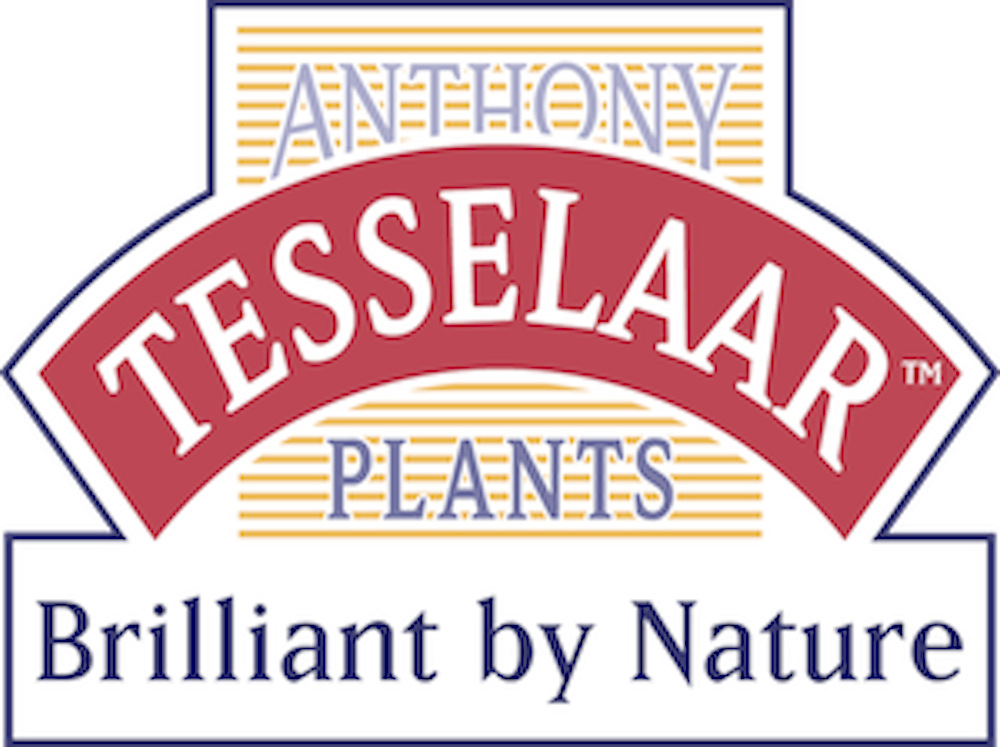 Anthony Tesselaar Plants