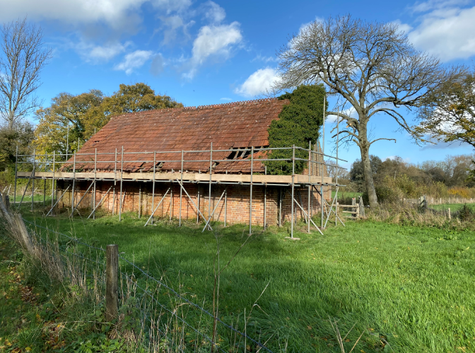 Beloved Barn Owls Get a New Roof to Save Them from Homelessness as ...