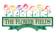 The Flower Fields