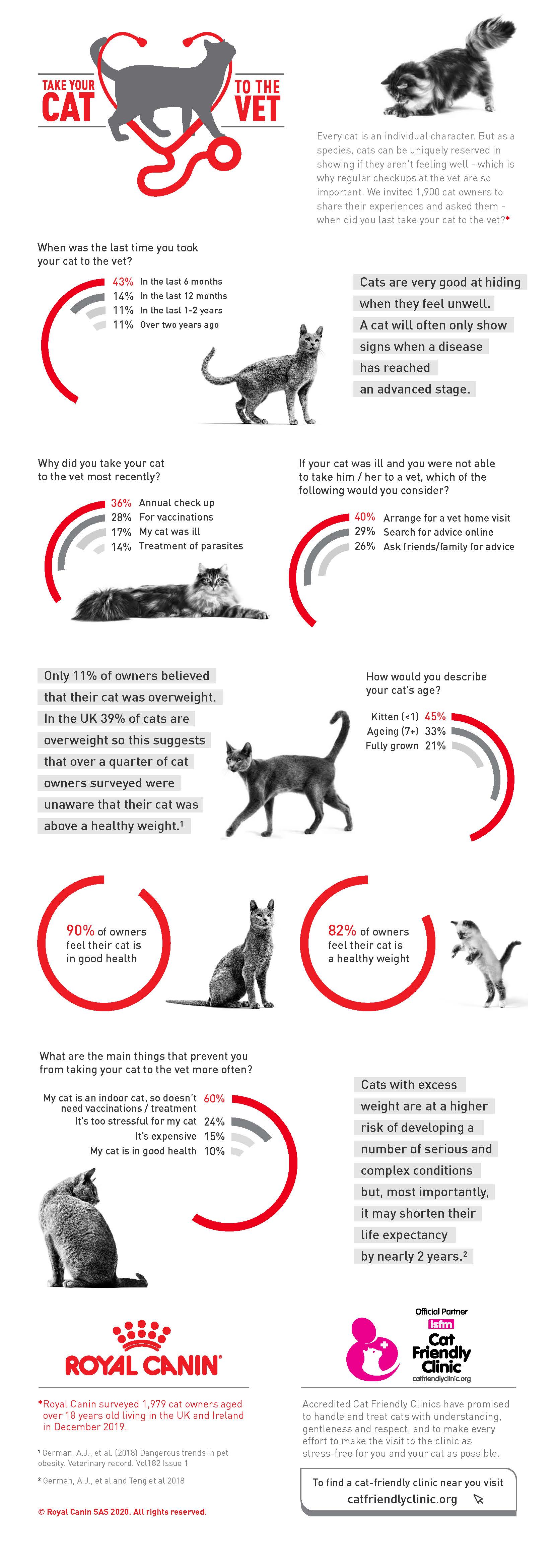 cats healthy weight