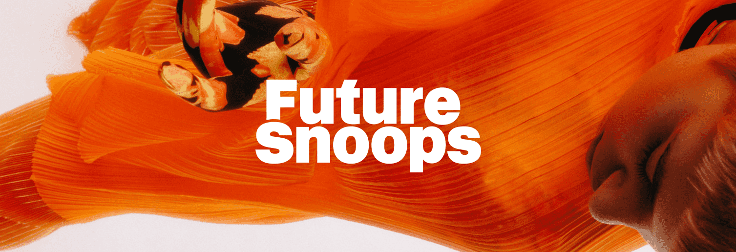 Future Snoops
